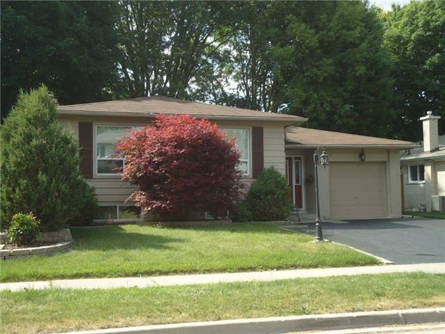 central newmarket real estate homes houses mls listings